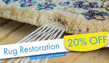 Rug Restoration Special - brooklyn